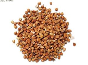 roasted buckwheat groats 25 kg