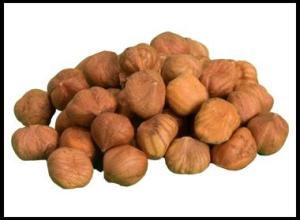 Fresh Hazelnut Kernels