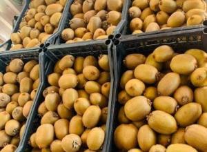 First Quality Turkish Fresh Kiwi 