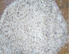 Sesame seed