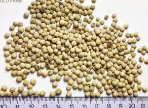 WHITE PEPPER WHOLE GRAIN 25 KG