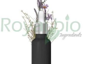 Lavendin Grosso Essential Oil