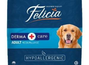 Felicia Low Grain Adult Dog Food Medium-Large With Salmon
