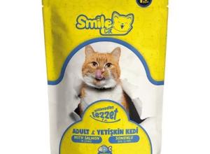 Smile Adults Cats Single Pouch With Salmon In Gravy 100 Gr *