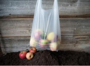 Organically-based plastics / BIOPLASTICS
