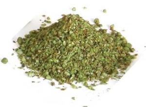 Oregano