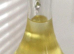 Oregano Oil
