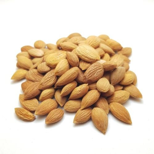 PINE NUT KERNELS