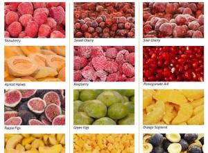 Frozen Fruits & Vegetables & Fruits Concentrates