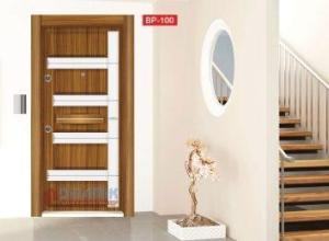 NEW SEASON STEEL DOOR