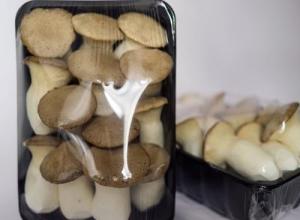 King oyster mushroom (eryngi) by Weight