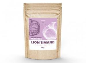 Lion’s Mane Extract Soplówka 10: 1 50g extract