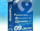 Professional SSD Business Web Hosting - A2