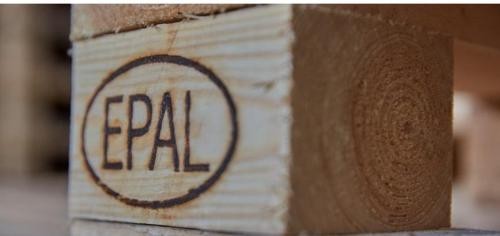 Beech , Birch ,Ash , Spruce Logs
