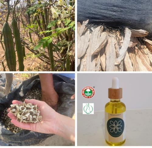 Jojoba oil ORGANIC