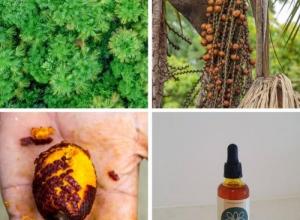Buriti oil organic, non certified (Mauritia Flexuosa)