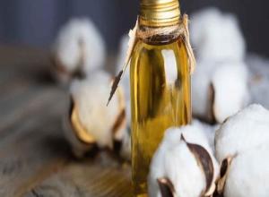 COTTON SEED OIL