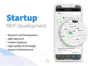 Startup, MVP Development