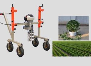 RAP 10 spherical trimming machine
