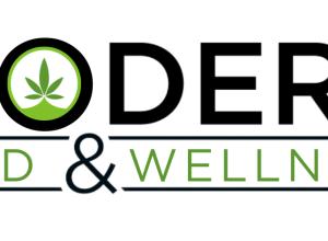 Modern CBD & Wellness Allen