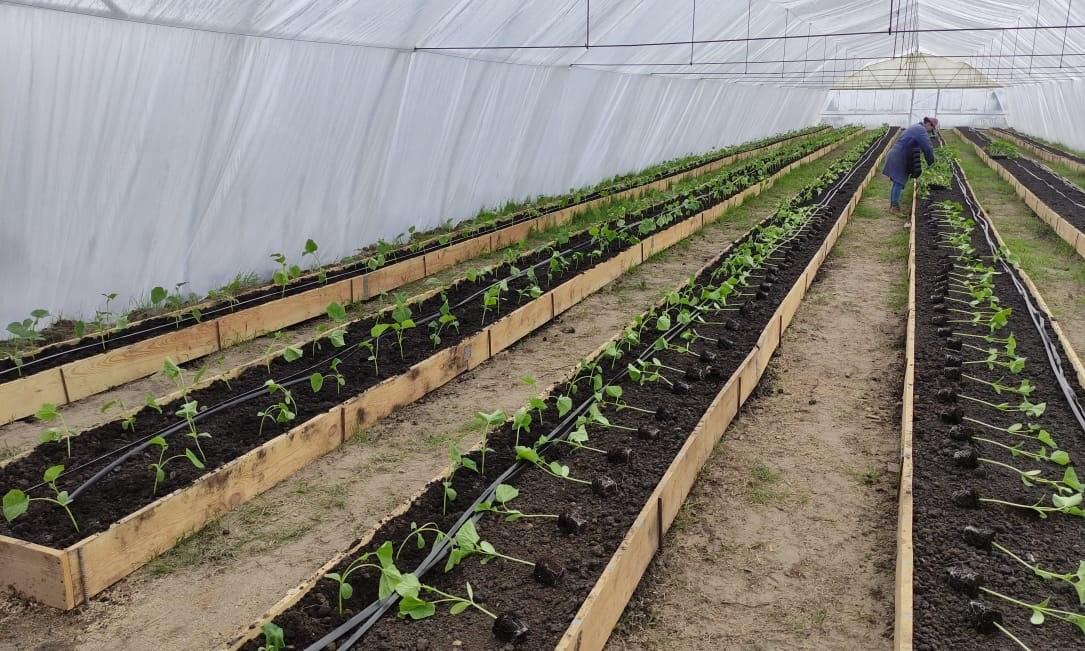  Selling an operating farm