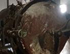 Autoclave