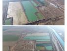 Sturgeon Farm