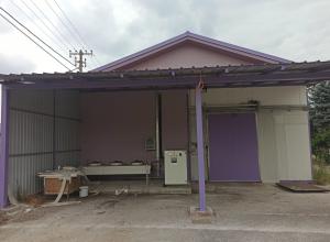 Fruit drying company for sale 