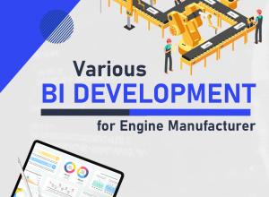 BI Dev for Telecommunications Manufacturer