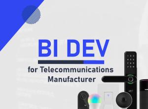 Various BI Developments for Engine Manufacturer
