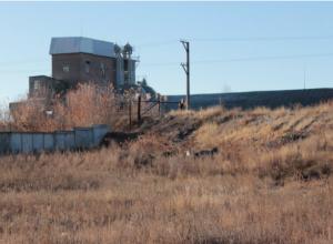 Wood processing complex (production of pellets, briquettes, edged