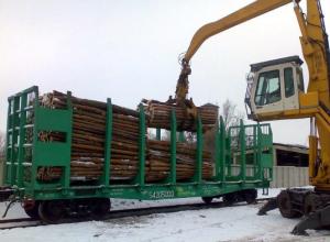 Plant for the production of wood pellets in the Transcarpathian region