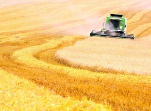 Agricultural company with an elevator in the Chernihiv region