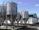 Agrocompany 2000 hectares with a quail farm