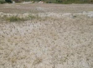  Sale of white clay kaolin deposits