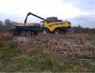  Agriculture for sale