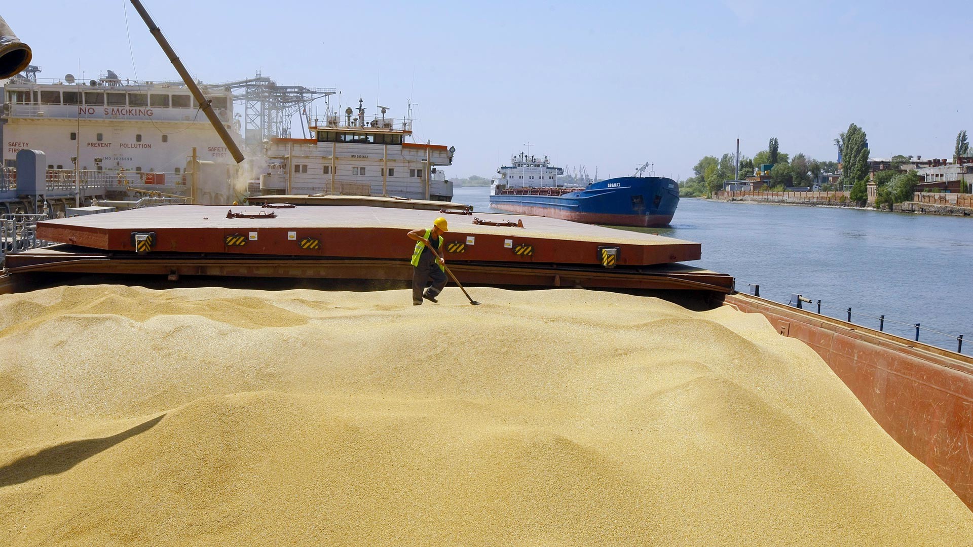  We are looking for Partners in the Export of agricultural crops from Russia, on a permanent basis
