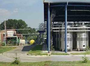  WINE FACTORY