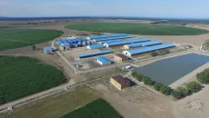 Full-cycle agricultural complex: from growing grain to meat production