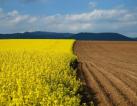 Sale of an agricultural company in the Zhytomyr region - 6400 hectares