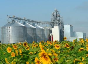 Sunflower oil production (creamery)