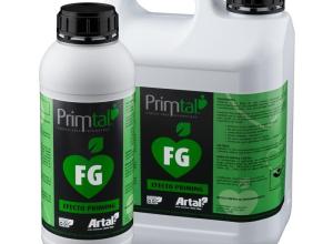 Primtal FG