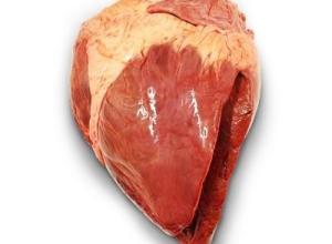 Heart