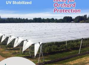 orchard cover