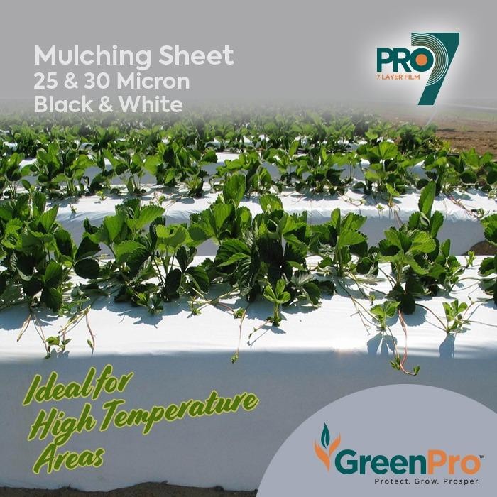 geomembrane
