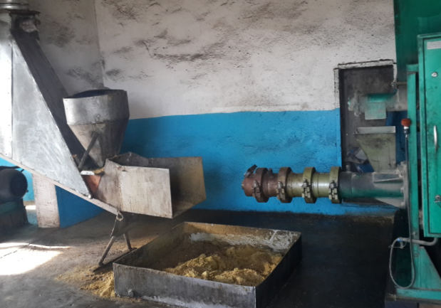 Production of soybean oil and cake