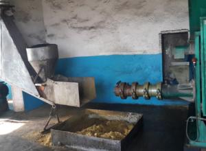 Production of soybean oil and cake