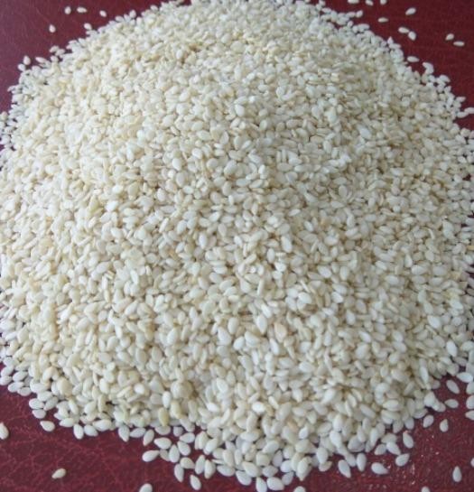Sunflower Oil