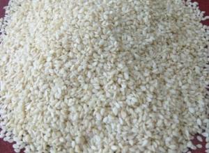 Sesame Seed