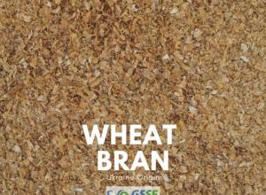 Wheat Bran